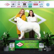 OBYWATEL Zagubione Marzenia 