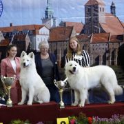 OBYWATEL Zagubione Marzenia 3