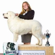 OBYWATEL Zagubione Marzenia 5