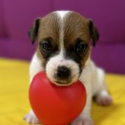 Ocean Of Love Heavenly Blessing