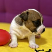 Ocean Of Love Heavenly Blessing