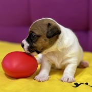 Ocean Of Love Heavenly Blessing