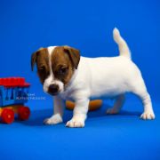 Ocean Of Love Heavenly Blessing