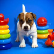 Ocean Of Love Heavenly Blessing