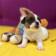 Odin's Lightning Heavenly Blessing