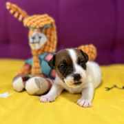 Odin's Lightning Heavenly Blessing