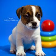 Odin's Lightning Heavenly Blessing