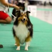 ONE LIFE ONE LOVE Lohrien vel SWEET 2