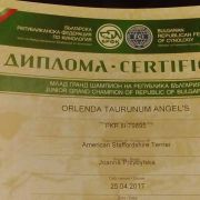 Orlenda Taurunum Angel's 4