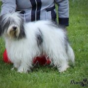 OSTROBOT Futrzak Podlaski