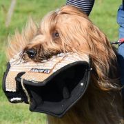 PAN KARMEL Kudłate Serce 3