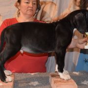 PANORAMIKS Czar Olbrzyma