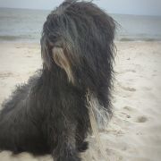 Peggy