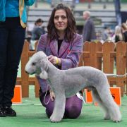 PETRUS Diamond Lamb - MONACO