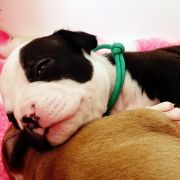 IRISH COFFEE Child of Love