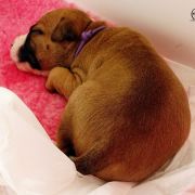 IMPORTANT MESSENGER Child of Love