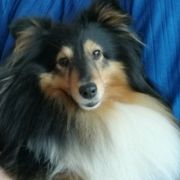 PIPPI LANGSTRUMPF Lohrien