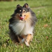 PIPPI LANGSTRUMPF Lohrien