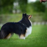 PIPPI LANGSTRUMPF Lohrien