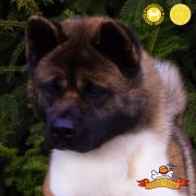 PlayTime (FCI) BEATA