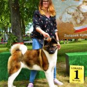 PlayTime (FCI) BEATA