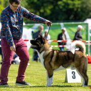 PlayTime (FCI) FRAŃCISZEK