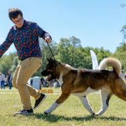 PlayTime (FCI) FRAŃCISZEK