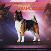 PlayTime (FCI) FRAŃCISZEK