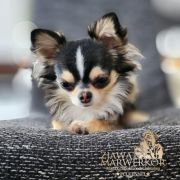 POPPY MUFFIN Chibianco 