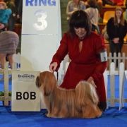 POWER OF LOVE Astarte Gold 3