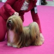 POWER OF LOVE Astarte Gold 4