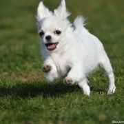 PRINCESS SNOW WHITE Buziaczek 3