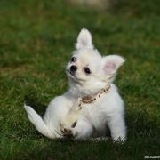 PRINCESS SNOW WHITE Buziaczek 4