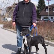 PROTON Czar Olbrzyma