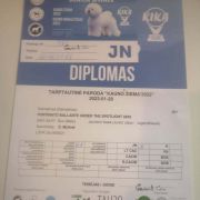 PUNTINATO BALLANTE Under the spotlight Uno