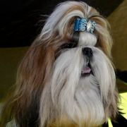 QUEBO z Kojca Coli 3