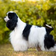 RANGELI LAMIRUS HAV'ER MASKERANO