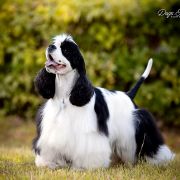 RANGELI LAMIRUS HAV'ER MASKERANO 2