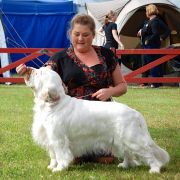 RE VERA Kaprys Rejenta FCI 3