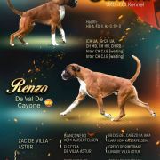 RENZO de Val de Cayone