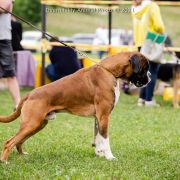 RENZO de Val de Cayone