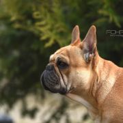 RINNIE RIHANNA de Miranko