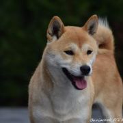 RITA WIelkie Szczęście