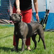 Rock and Roll Corso z Lasów Godzieskich (Zumba) 4