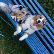 ROMANTIC RAIN Color Joy 3