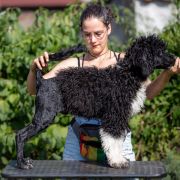 ROYAL BALLET Tempus Ad Miraculum