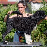 ROYAL BLUE Tempus Ad Miraculum