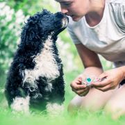 ROYAL PRESENCE Tempus Ad Miraculum