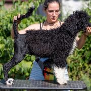 ROYAL PRESENCE Tempus Ad Miraculum