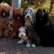 ROYAL QUEEN ELIZABETH Victory of Love